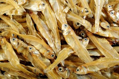 Küçük kurutulmuş balık arka plan