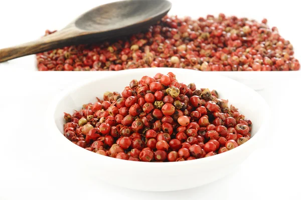 Червоний перець насіння — стокове фото