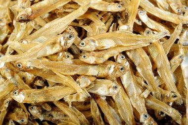 Küçük kurutulmuş balık arka plan