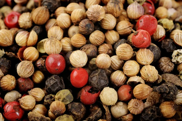 Semillas de granos de pimienta roja —  Fotos de Stock