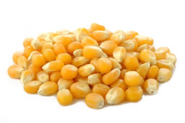 Beyaz arkaplanda mısır tohumları