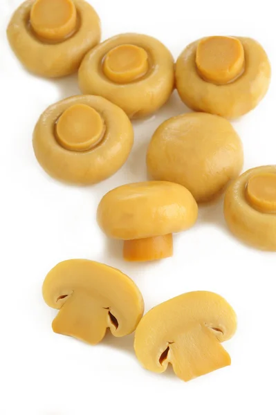 Funghi Champignon su sfondo bianco — Foto Stock