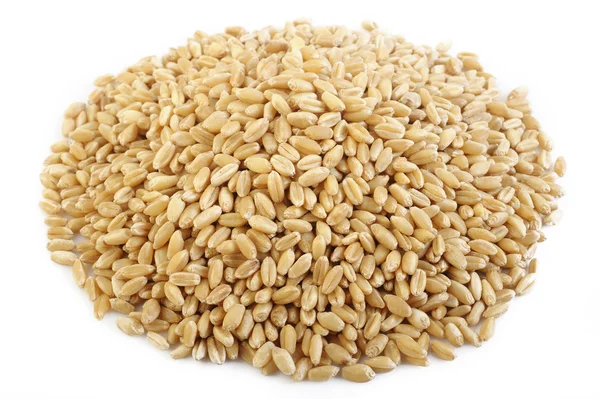 Pearl barley grains on white background — Stock Photo, Image