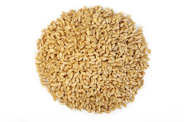 Pearl barley grains on white — Stock Photo, Image