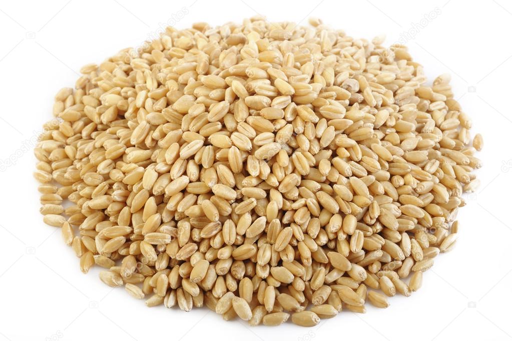 pearl barley grains on white background