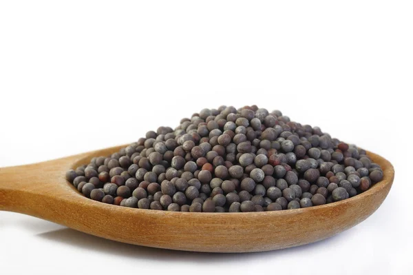 Black mustard seeds in wooden spoon — Stock Photo, Image