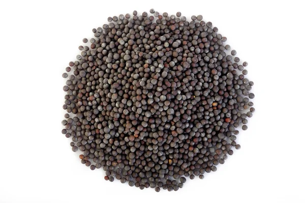 Black mustard seeds on white background — Stock Photo, Image