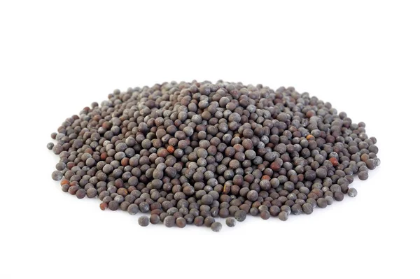 Semena hořčice černá — Stock fotografie