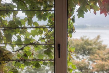 Kafe 'de yeşil bahçeli masa ve sandalyeler. Pencerenin dışında bahçeli.