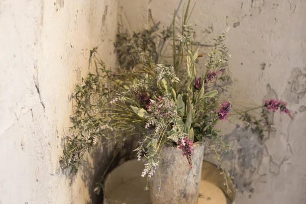 interior flower plant in front of the concrete wall interior