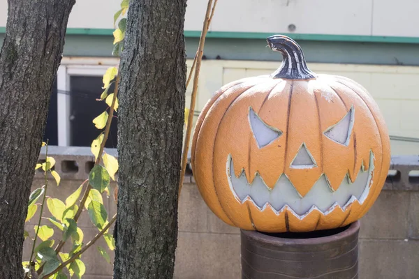 Halloween Ijesztő Tök Egy Mosollyal Parkban — Stock Fotó
