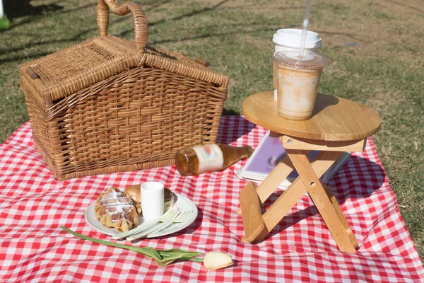 picnic set on the red blanket on the lawn