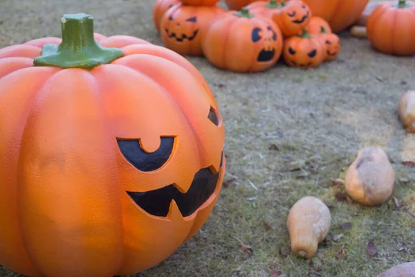 Halloween scary pumpkin with a smile in autumn park