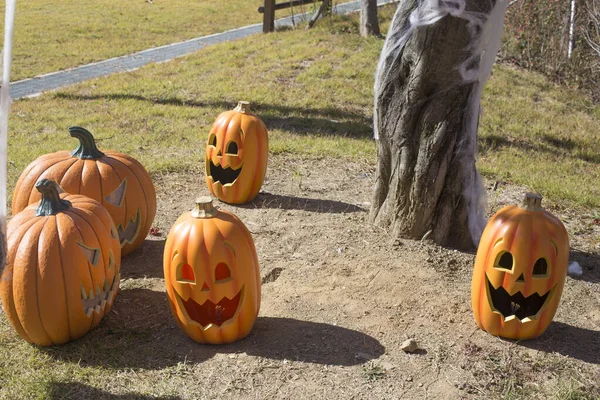Halloween Ijesztő Tök Mosollyal Őszi Parkban — Stock Fotó
