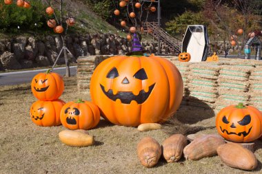 Sonbahar parkında gülümseyen korkunç Cadılar Bayramı balkabağı