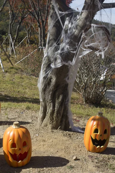 Halloween Straszna Dynia Uśmiechem Jesiennym Parku — Zdjęcie stockowe