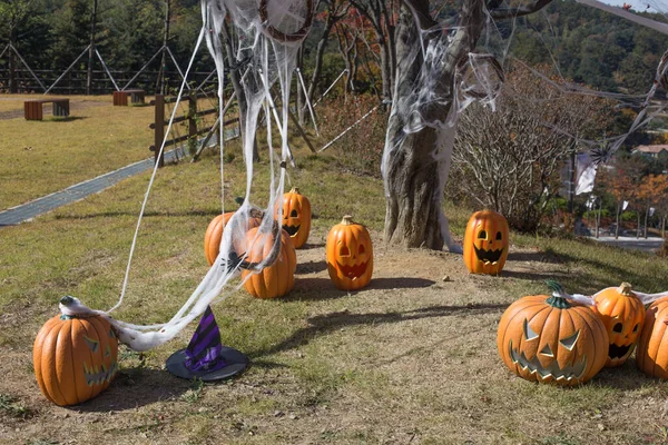 Halloween Ijesztő Tök Mosollyal Őszi Parkban — Stock Fotó