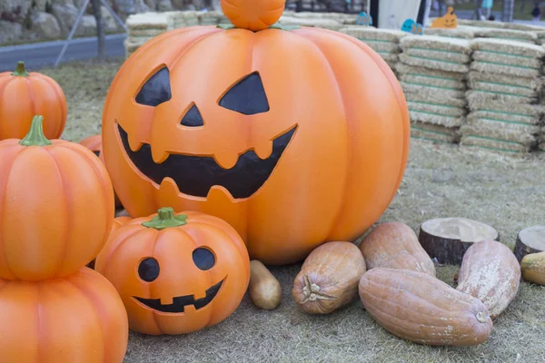 Halloween Calabaza Miedo Con Una Sonrisa Parque Otoño —  Fotos de Stock