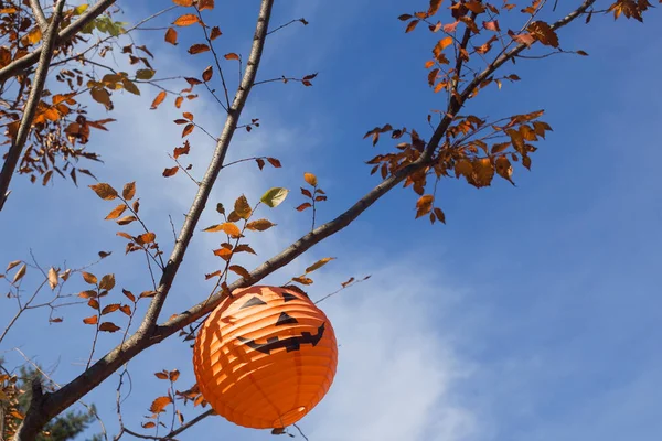 Tök Halloween Dekoráció Lóg Fán — Stock Fotó