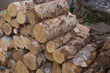 Yakacak odun olarak huş ağacı yığını