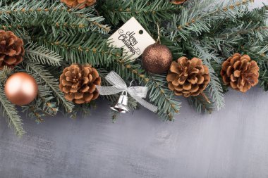 Gri arka planda kozalaklı Noel ağacı dalı