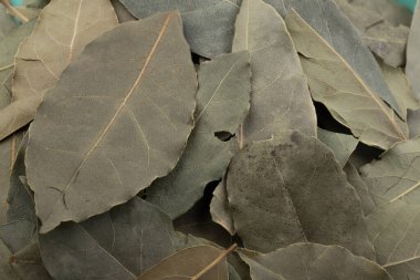 Dry Bay yaprakları siyah arkaplanda izole edildi