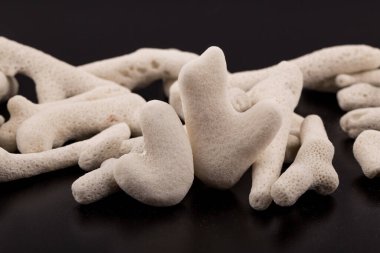 Siyah arkaplanda beyaz bir mercan parçası.