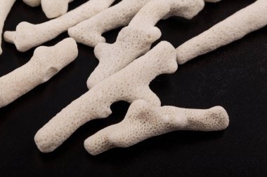 Siyah arkaplanda beyaz bir mercan parçası.