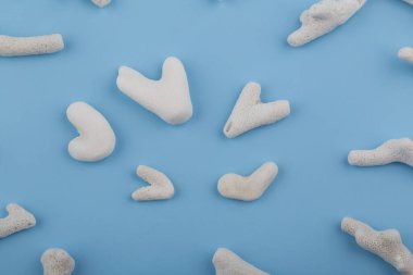 Mavi arkaplanda beyaz bir mercan parçası