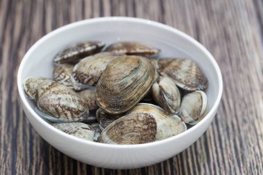 Tahta arka planda taze çiğ sörf midyesi.