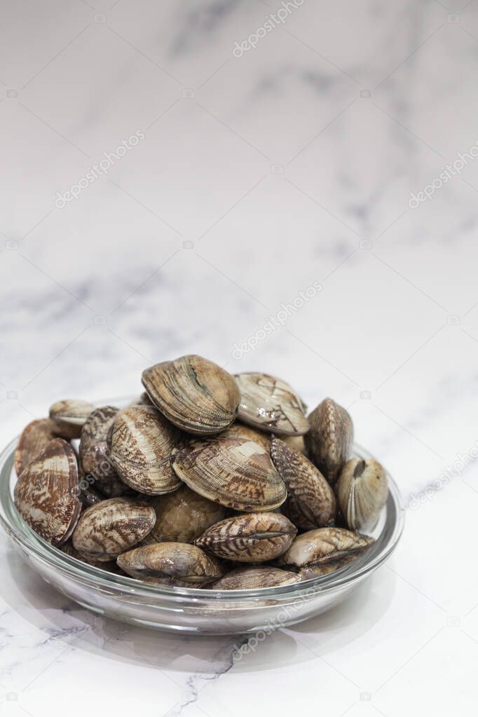 Fresh raw Surf clam on a white background.