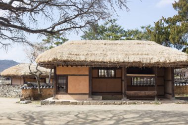 Geleneksel Güney Kore sazdan çatı evi. Çatı samandan yapılmış.
