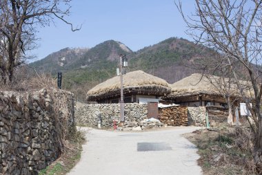 Geleneksel Güney Kore sazdan çatı evi. Çatı samandan yapılmış.