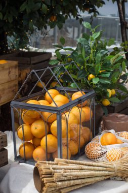 Tahta kutuda portakal meyveleri ve ağaçlardan bahçeler.