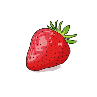 Çilek çizim stili. Basit meyve tasarımı izole vektörü