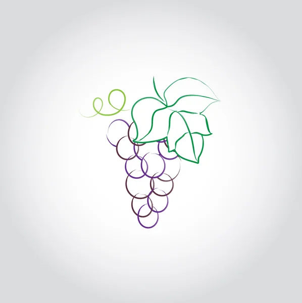 Grape with leaf icon — Stock Vector