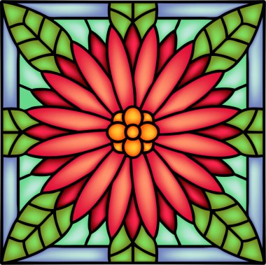 Kasımpatı veya vitray Aster