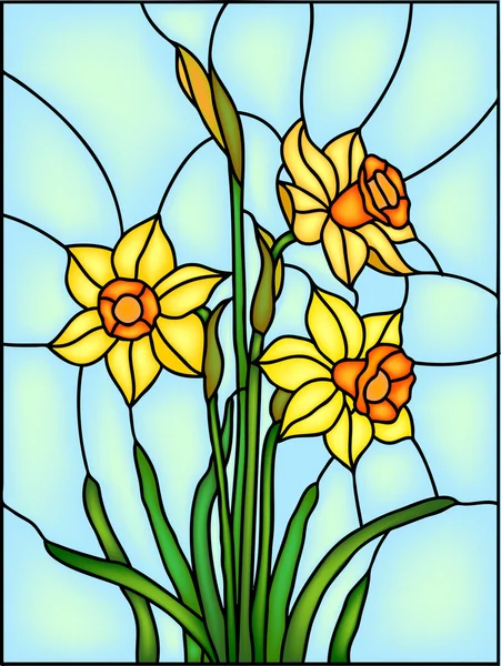 Decorative Narcissus, daffodil flowers — Stock Vector