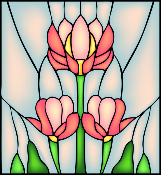 декоративные цветы гибискуса
