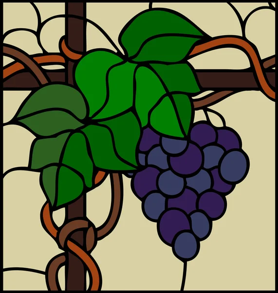 Grape with leaves — Stock Vector