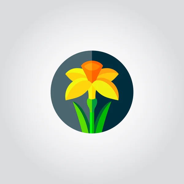 Yellow daffodil, narcissus flower icon — ストックベクタ