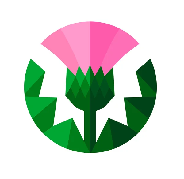 Thistle - İskoçya'nın çiçek amblem