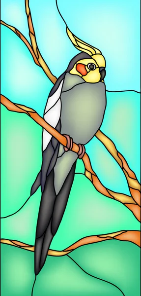 オカメインコ オウム鳥 — ストックベクタ