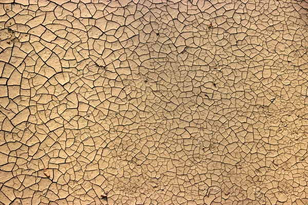 Fond et texture argile fissurée avec petites fissures — Photo