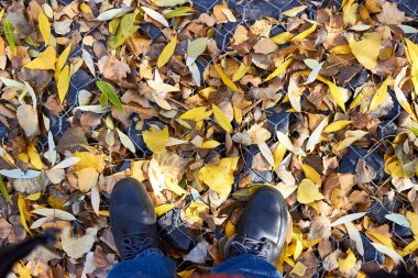 Sonbahar yaprakları yerde, erkek ayakkabıları üstte.