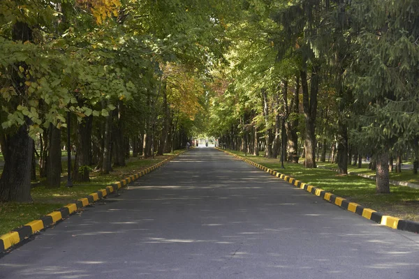 Almaty, Kazakhstan - September 11, 2018: driveway among linden trees — Stock Photo, Image