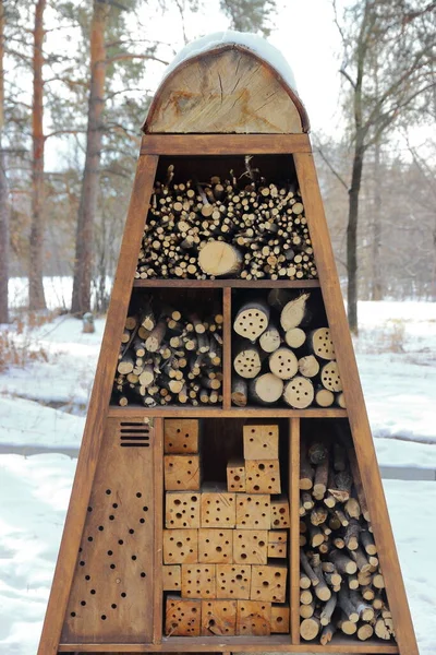 植物园中的木制结构昆虫窝 — 图库照片