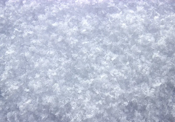 Textura de nieve recién caída con grandes copos de nieve — Foto de Stock