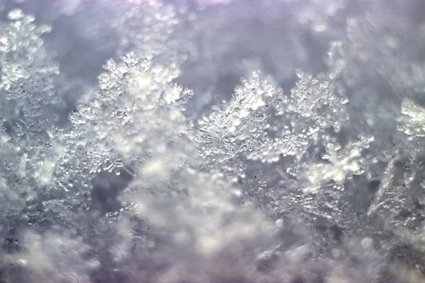 Enfoque selectivo de los copos de nieve macro con fondo borroso — Foto de Stock