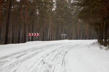 Çam ormanında karla kaplı bir yol